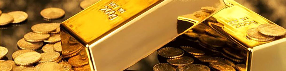 ثبت رکورد تاریخی سکه در سال ۱۴۰۲/ سودی که نصیب سکه بازان شد